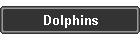 Dolphins