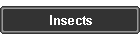 Insects
