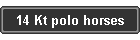 14 Kt polo horses